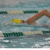 Invitation to our Novice Gala for Pre- Competitive Swimmers