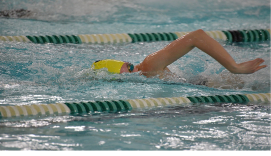 Invitation to our Novice Gala for Pre- Competitive Swimmers